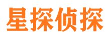 新邵调查公司